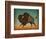 Buffalo Bison II-Ryan Fowler-Framed Art Print