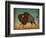 Buffalo Bison II-Ryan Fowler-Framed Art Print