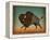 Buffalo Bison II-Ryan Fowler-Framed Stretched Canvas