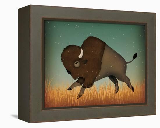 Buffalo Bison II-Ryan Fowler-Framed Stretched Canvas