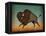 Buffalo Bison II-Ryan Fowler-Framed Stretched Canvas