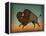 Buffalo Bison II-Ryan Fowler-Framed Stretched Canvas