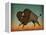 Buffalo Bison II-Ryan Fowler-Framed Stretched Canvas