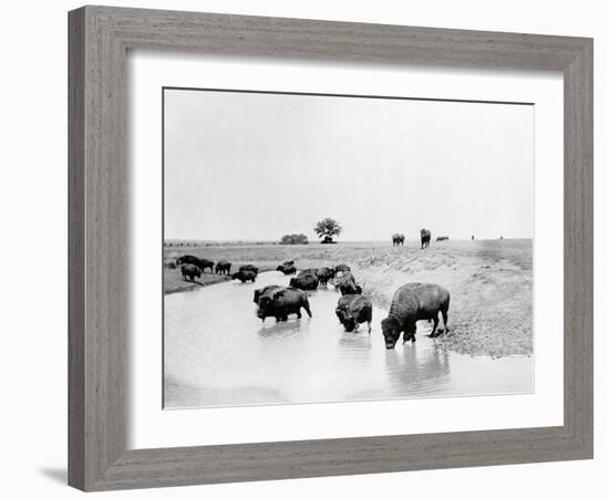 Buffalo Brook-The Chelsea Collection-Framed Giclee Print