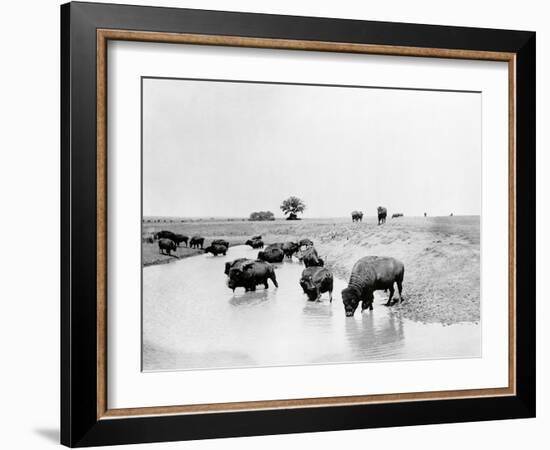 Buffalo Brook-The Chelsea Collection-Framed Giclee Print