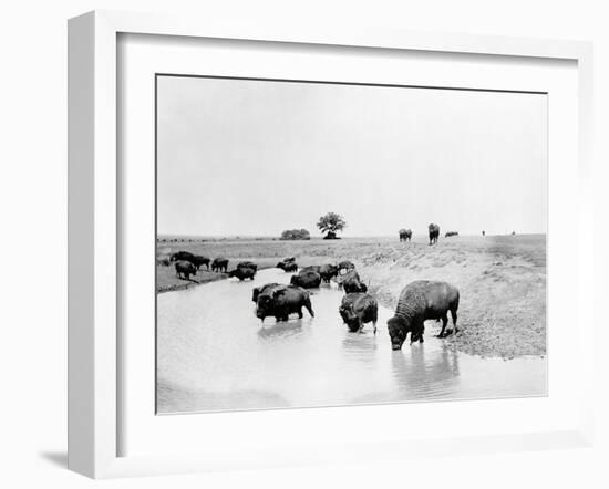 Buffalo Brook-The Chelsea Collection-Framed Giclee Print