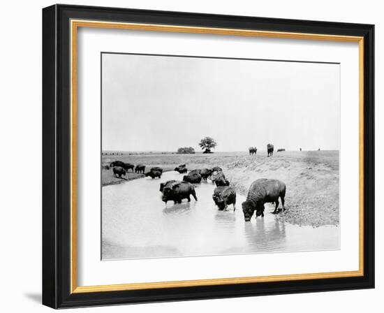 Buffalo Brook-The Chelsea Collection-Framed Giclee Print