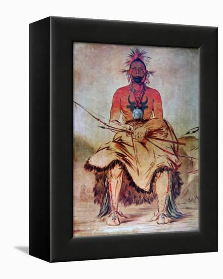 Buffalo Bull, 1835-George Catlin-Framed Premier Image Canvas