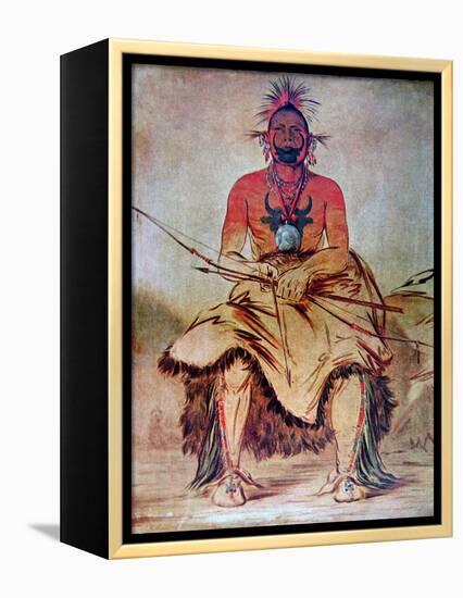 Buffalo Bull, 1835-George Catlin-Framed Premier Image Canvas