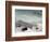 Buffalo Chase In Winter-George Catlin-Framed Giclee Print