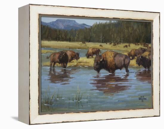 Buffalo Crossing-Jack Sorenson-Framed Stretched Canvas