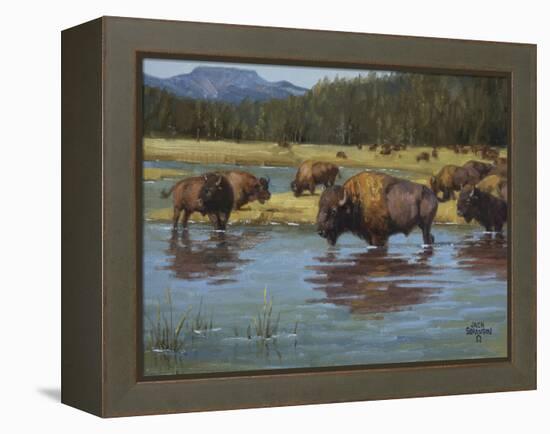 Buffalo Crossing-Jack Sorenson-Framed Stretched Canvas