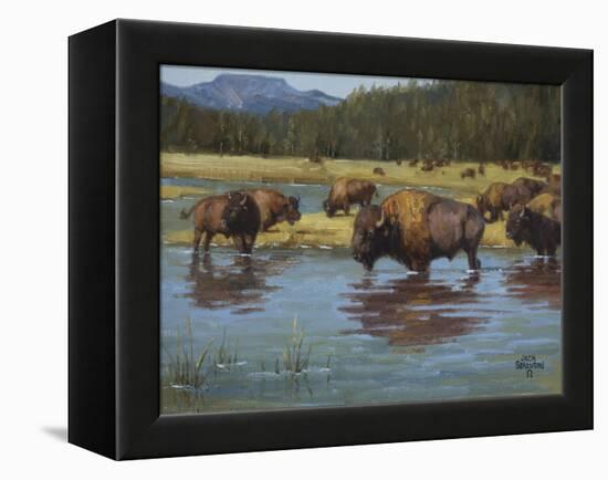 Buffalo Crossing-Jack Sorenson-Framed Stretched Canvas