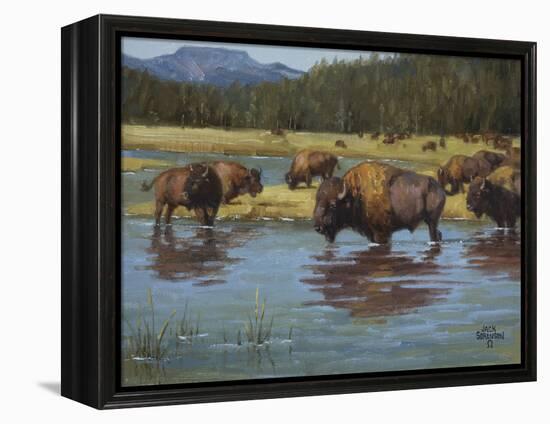 Buffalo Crossing-Jack Sorenson-Framed Stretched Canvas