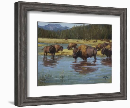 Buffalo Crossing-Jack Sorenson-Framed Art Print