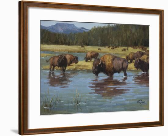 Buffalo Crossing-Jack Sorenson-Framed Art Print