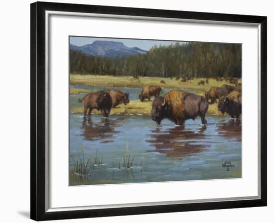 Buffalo Crossing-Jack Sorenson-Framed Art Print