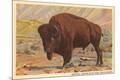 Premium Giclee Print