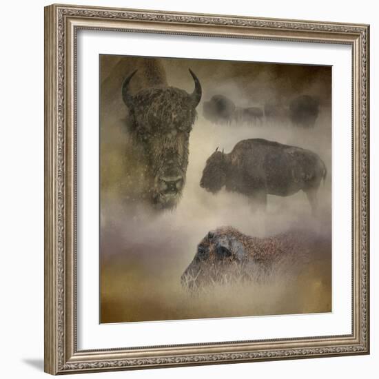 Buffalo Dreams-Jai Johnson-Framed Giclee Print