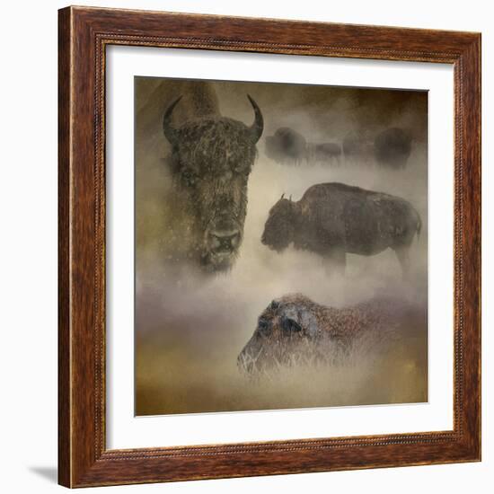 Buffalo Dreams-Jai Johnson-Framed Giclee Print