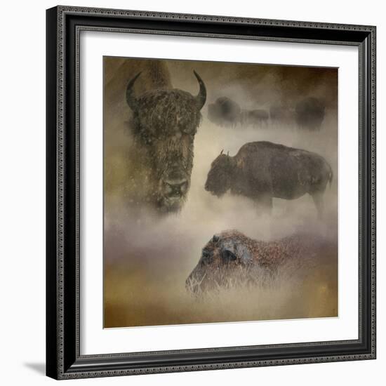 Buffalo Dreams-Jai Johnson-Framed Giclee Print