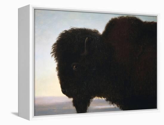 Buffalo Head-Albert Bierstadt-Framed Premier Image Canvas