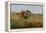 Buffalo Hunt, 1891-Charles Marion Russell-Framed Premier Image Canvas