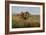 Buffalo Hunt, 1891-Charles Marion Russell-Framed Giclee Print