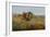 Buffalo Hunt, 1891-Charles Marion Russell-Framed Giclee Print