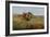 Buffalo Hunt, 1891-Charles Marion Russell-Framed Giclee Print