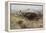 Buffalo Hunt Number 26, 1899-Charles Marion Russell-Framed Premier Image Canvas