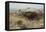 Buffalo Hunt Number 26, 1899-Charles Marion Russell-Framed Premier Image Canvas