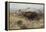 Buffalo Hunt Number 26, 1899-Charles Marion Russell-Framed Premier Image Canvas