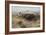 Buffalo Hunt Number 26, 1899-Charles Marion Russell-Framed Giclee Print