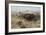 Buffalo Hunt Number 26, 1899-Charles Marion Russell-Framed Giclee Print