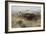 Buffalo Hunt Number 26, 1899-Charles Marion Russell-Framed Giclee Print