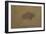 Buffalo in a Sandstorm (Oil on Paper Mounted on Board)-Albert Bierstadt-Framed Premium Giclee Print