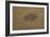 Buffalo in a Sandstorm (Oil on Paper Mounted on Board)-Albert Bierstadt-Framed Premium Giclee Print