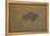 Buffalo in a Sandstorm (Oil on Paper Mounted on Board)-Albert Bierstadt-Framed Premier Image Canvas