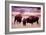 Buffalo In Meadow On Bell Ranch, 11/1972-The U.S. National Archives-Framed Premium Giclee Print