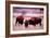 Buffalo In Meadow On Bell Ranch, 11/1972-The U.S. National Archives-Framed Premium Giclee Print