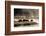 Buffalo in Yellowstone National Park WY USA-Panoramic Images-Framed Photographic Print