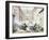 Buffalo Market in Porta Del Popolo-null-Framed Giclee Print