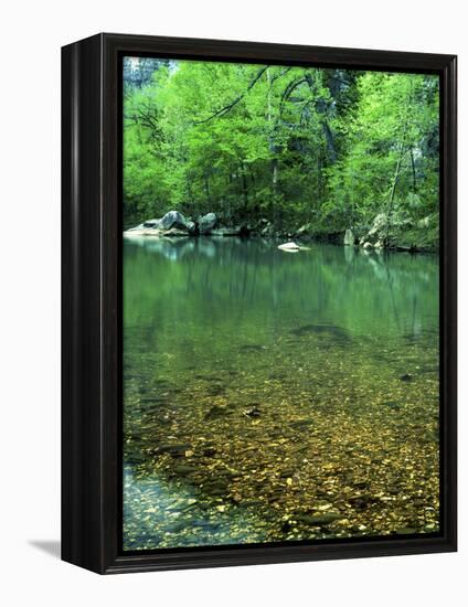 Buffalo National River, Arkansas, USA-Charles Gurche-Framed Premier Image Canvas