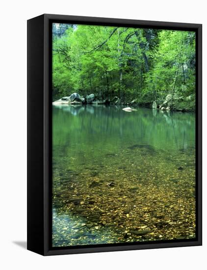 Buffalo National River, Arkansas, USA-Charles Gurche-Framed Premier Image Canvas