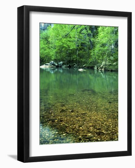 Buffalo National River, Arkansas, USA-Charles Gurche-Framed Photographic Print