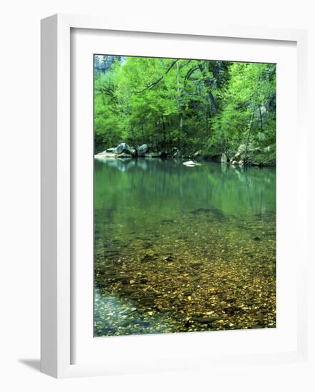 Buffalo National River, Arkansas, USA-Charles Gurche-Framed Photographic Print