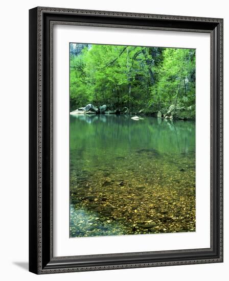 Buffalo National River, Arkansas, USA-Charles Gurche-Framed Photographic Print