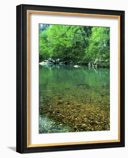 Buffalo National River, Arkansas, USA-Charles Gurche-Framed Photographic Print