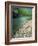 Buffalo National River, Arkansas, USA-Charles Gurche-Framed Photographic Print